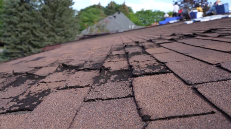 Best Rubber Roofing (EPDM, TPO)  in Crystal Lawns, IL